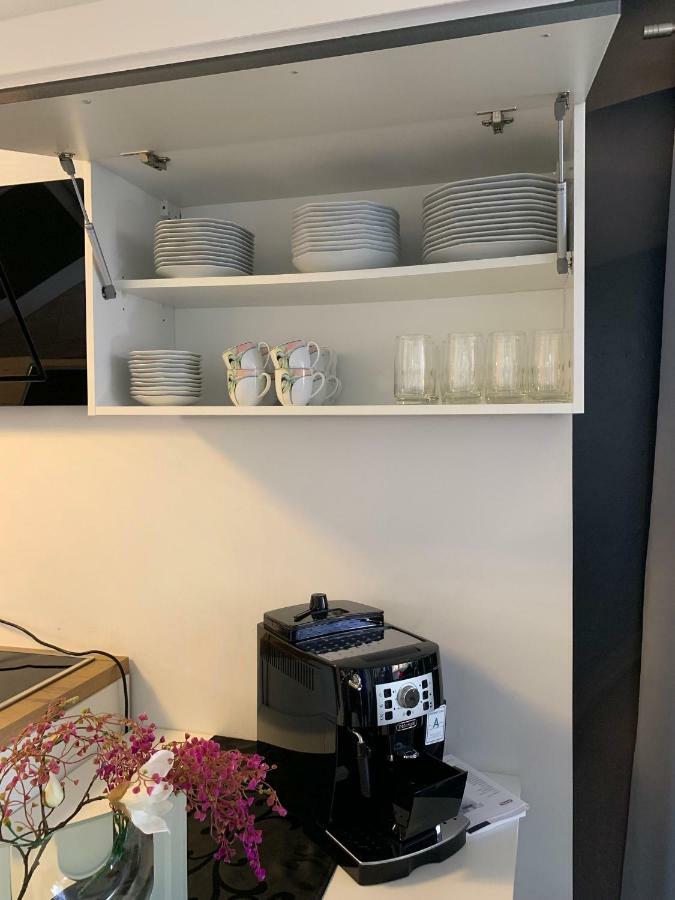 Luxus Appartement Bruehlervorstadt Ерфурт Екстер'єр фото